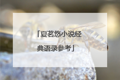 夏茗悠小说经典语录参考