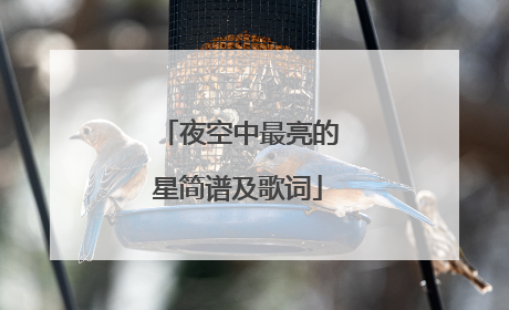 夜空中最亮的星简谱及歌词