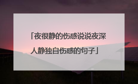夜很静的伤感说说夜深人静独自伤感的句子