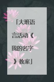 大班语言活动《我的名字》教案