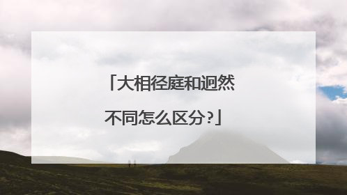 大相径庭和迥然不同怎么区分?