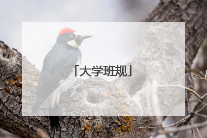 大学班规