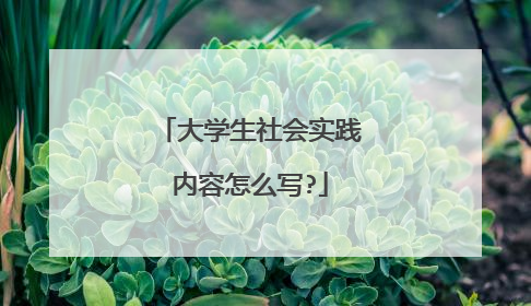大学生社会实践内容怎么写?
