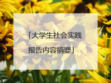 大学生社会实践报告内容摘要