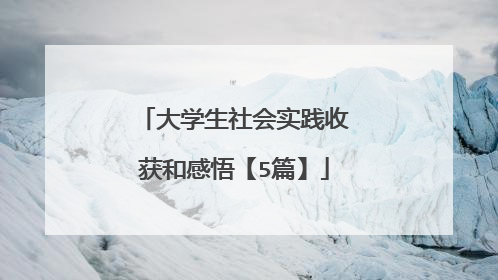 大学生社会实践收获和感悟【5篇】