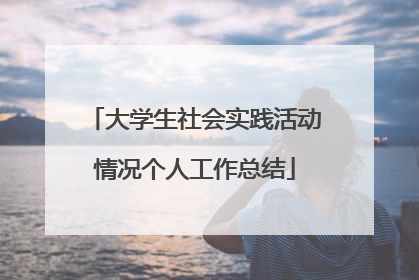 大学生社会实践活动情况个人工作总结