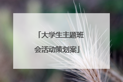 大学生主题班会活动策划案