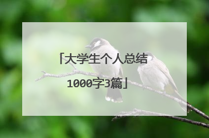 大学生个人总结1000字3篇