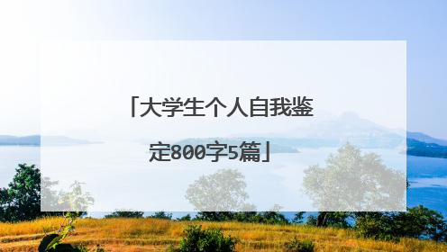 大学生个人自我鉴定800字5篇