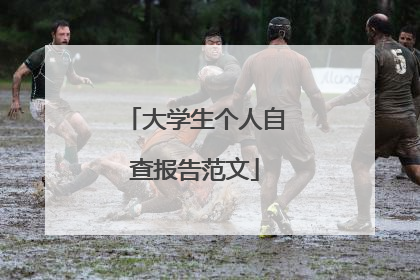 大学生个人自查报告范文