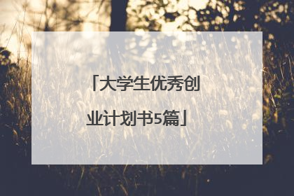 大学生优秀创业计划书5篇