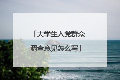 大学生入党群众调查意见怎么写