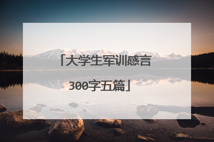 大学生军训感言300字五篇