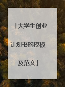 大学生创业计划书的模板及范文