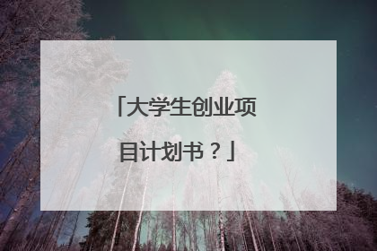 大学生创业项目计划书?