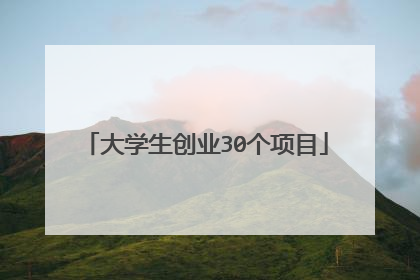 大学生创业30个项目