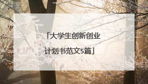 大学生创新创业计划书范文5篇
