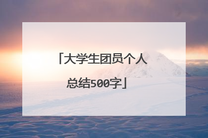 大学生团员个人总结500字