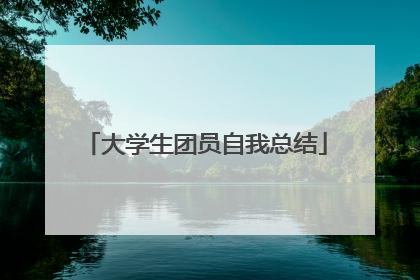 大学生团员自我总结