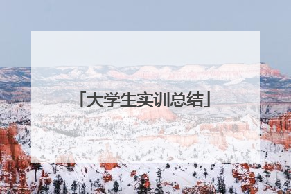 大学生实训总结
