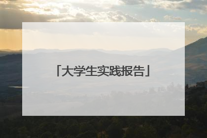 大学生实践报告