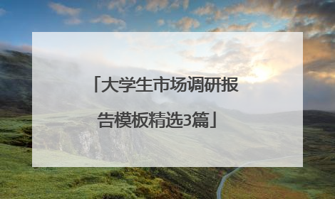 大学生市场调研报告模板精选3篇