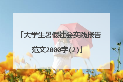 大学生暑假社会实践报告范文2000字(2)