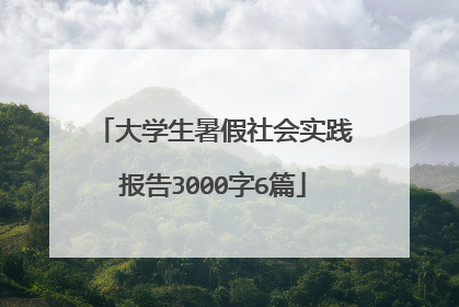 大学生暑假社会实践报告3000字6篇
