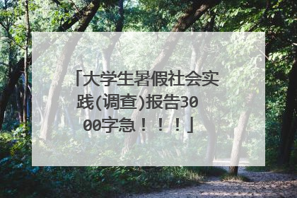 大学生暑假社会实践(调查)报告3000字急!!!