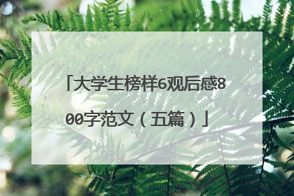 大学生榜样6观后感800字范文（五篇）