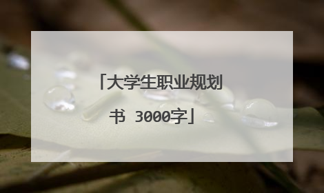 大学生职业规划书 3000字