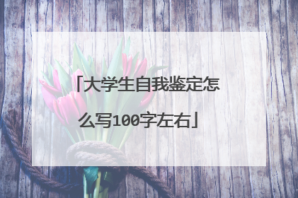 大学生自我鉴定怎么写100字左右