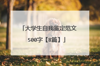 大学生自我鉴定范文500字【8篇】