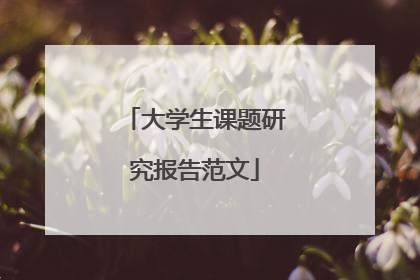 大学生课题研究报告范文