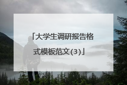 大学生调研报告格式模板范文(3)