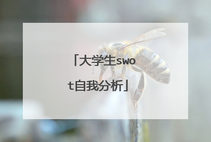 大学生swot自我分析