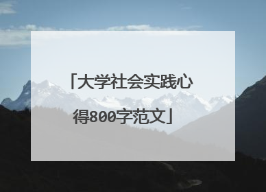 大学社会实践心得800字范文