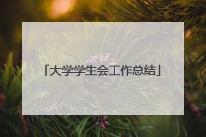 大学学生会工作总结