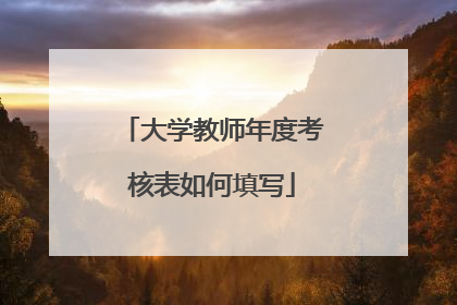 大学教师年度考核表如何填写