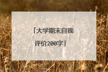 大学期末自我评价200字