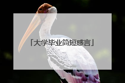 大学毕业简短感言
