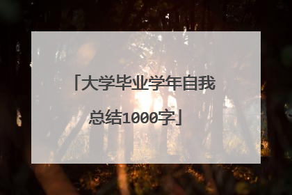 大学毕业学年自我总结1000字