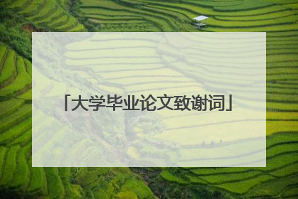 大学毕业论文致谢词