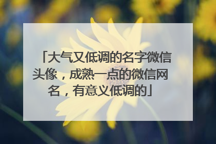 大气又低调的名字微信头像，成熟一点的微信网名，有意义低调的