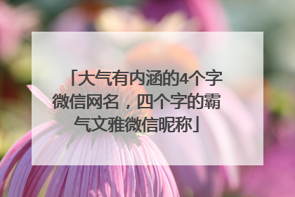 大气有内涵的4个字微信网名，四个字的霸气文雅微信昵称