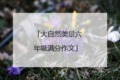 大自然美景六年级满分作文