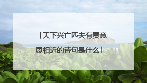 天下兴亡匹夫有责意思相近的诗句是什么