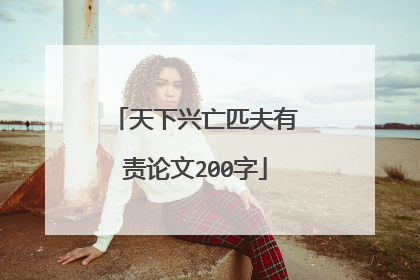 天下兴亡匹夫有责论文200字