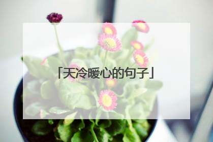 天冷暖心的句子