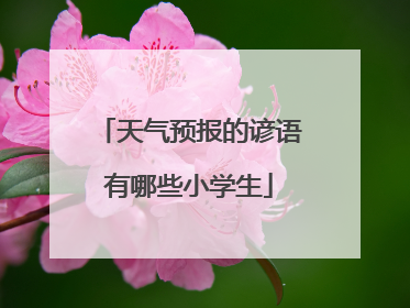 天气预报的谚语有哪些小学生